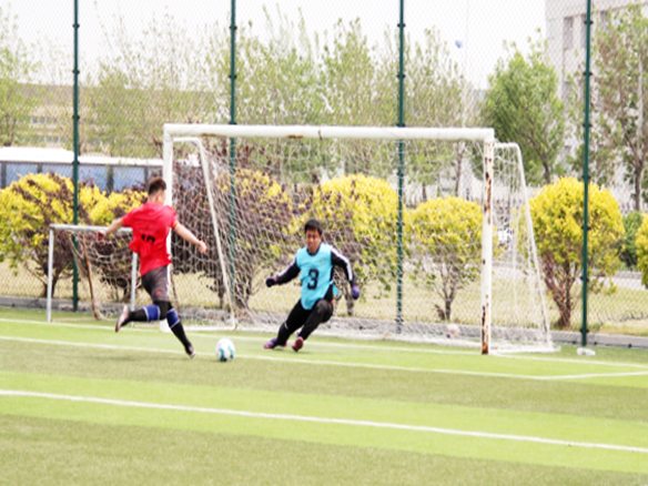 人文陽光 | 燃情綠茵場！陽光能源“陽光杯足球賽”正式開賽